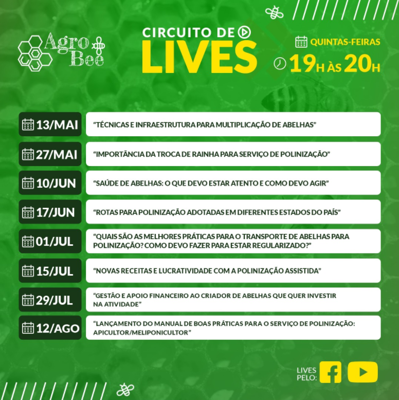 Programação Circuito de Lives