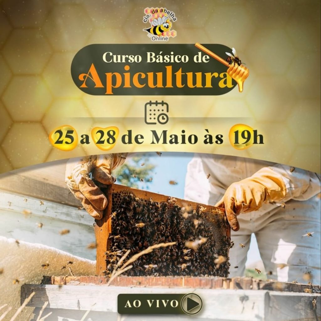 Curso Básico de Apicultura CIA da abelha BeeInfo