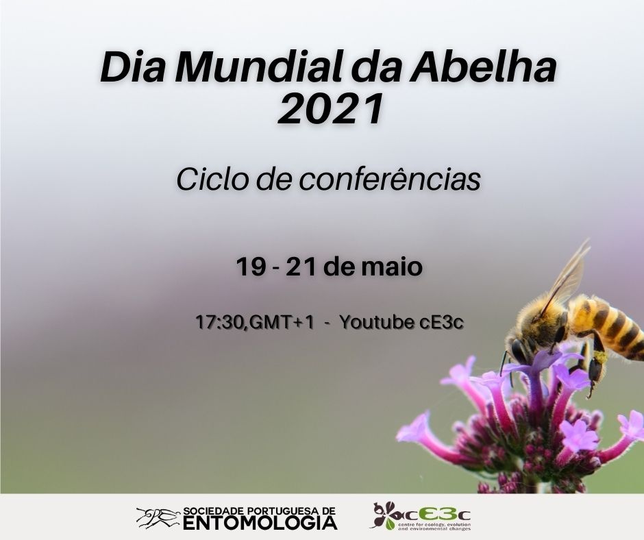 Dia mundial da abelha divulgação