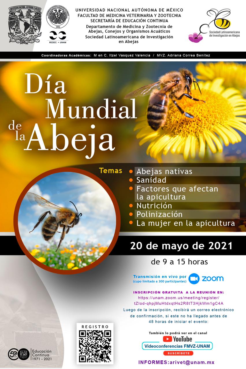 Folder Dia Mundial de la Abeja