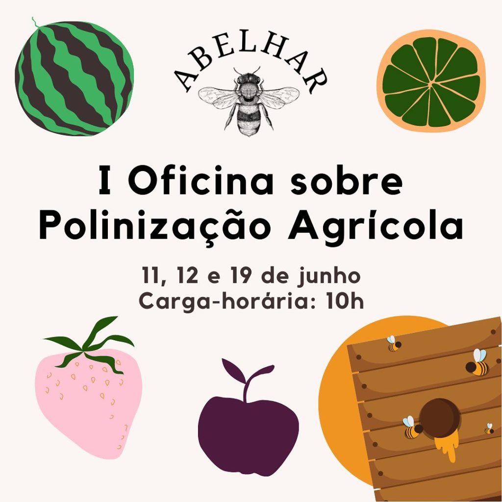 Divulgação oficina de polinização agrícola